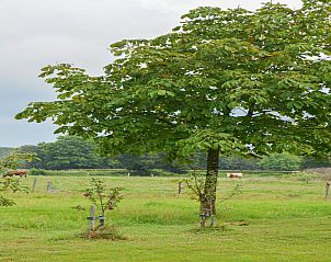 Unterkunft 3227185 - Ferienhaus Veluwe - Uilenhof