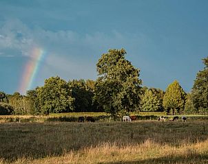 Unterkunft 3227185 - Ferienhaus Veluwe - Uilenhof