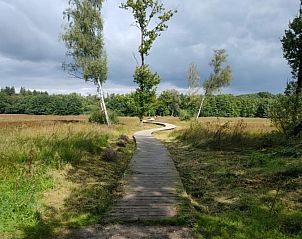 Unterkunft 3227185 - Ferienhaus Veluwe - Uilenhof