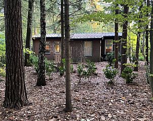 Boshuis Wissel, een vakantiehuis in Epe op de Veluwe, omgeven door serene bossen en natuurlijke schoonheid.