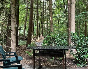 Geniet van de rust op het terras van Boshuis Wissel in Epe, Veluwe, omgeven door weelderige natuur en hoge bomen.