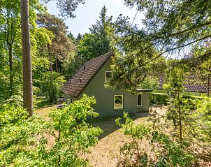 Unterkunft 322721 - Ferienhaus Veluwe - Huisje in Epe