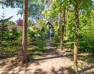 Unterkunft 322721 - Ferienhaus Veluwe - Huisje in Epe