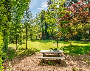 Unterkunft 322721 - Ferienhaus Veluwe - Huisje in Epe