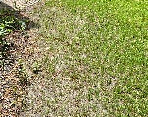 Guest house 322732 - Holiday property Veluwe - Huisje in Epe