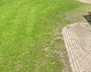 Guest house 322732 - Holiday property Veluwe - Huisje in Epe