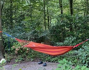 Guest house 322732 - Holiday property Veluwe - Huisje in Epe