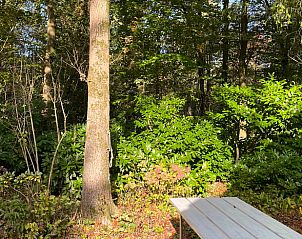 Guest house 322732 - Holiday property Veluwe - Huisje in Epe