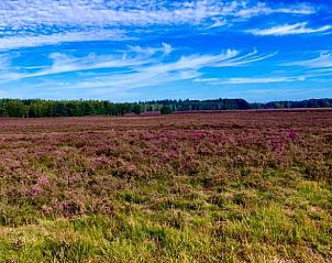 Guest house 322732 - Holiday property Veluwe - Huisje in Epe