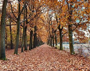 Guest house 322732 - Holiday property Veluwe - Huisje in Epe