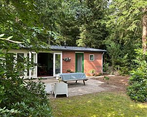 Unterkunft 322734 - Ferienhaus Veluwe - Vakantiehuis in Epe