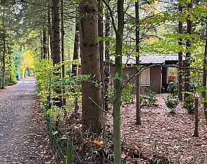 Unterkunft 322734 - Ferienhaus Veluwe - Vakantiehuis in Epe