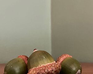 Unterkunft 322734 - Ferienhaus Veluwe - Vakantiehuis in Epe