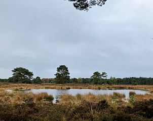 Unterkunft 322734 - Ferienhaus Veluwe - Vakantiehuis in Epe