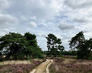 Unterkunft 322734 - Ferienhaus Veluwe - Vakantiehuis in Epe