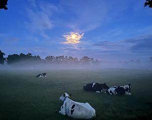Unterkunft 322734 - Ferienhaus Veluwe - Vakantiehuis in Epe