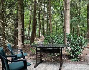 Verblijf 322739 - Vakantiewoning Veluwe - DG2161