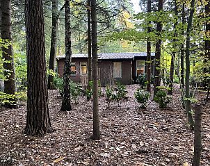 Verblijf 322739 - Vakantiewoning Veluwe - DG2161