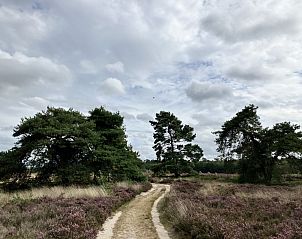 Verblijf 322739 - Vakantiewoning Veluwe - DG2161