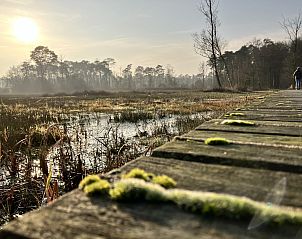 Unterkunft 322739 - Ferienhaus Veluwe - DG2161