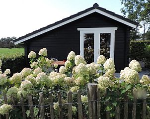 Unterkunft 322743 - Ferienhaus Veluwe - Vakantiehuis in Epe