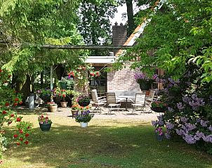 Terrace of Cottage in Epe, cottage in Veluwe, Gelderland with colorful flowers and seating area.