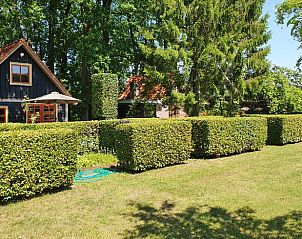 Cottage in Epe, vacation home in the Veluwe, Gelderland with green hedges and serene surroundings.