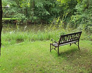 Guest house 322746 - Holiday property Veluwe - Huisje in Epe