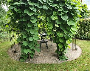 Guest house 322746 - Holiday property Veluwe - Huisje in Epe