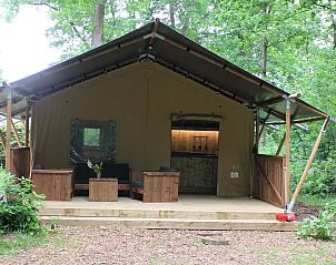 Verblijf 322751 - Tenthuis Veluwe - Safaritent het Edelhert