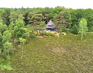 Unterkunft 322756 - Ferienhaus Veluwe - Vakantiehuisje in Epe