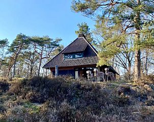Unterkunft 322756 - Ferienhaus Veluwe - Vakantiehuisje in Epe
