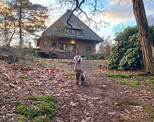 Unterkunft 322756 - Ferienhaus Veluwe - Vakantiehuisje in Epe