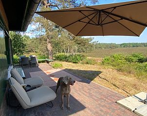 Unterkunft 322756 - Ferienhaus Veluwe - Vakantiehuisje in Epe