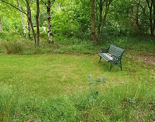 Unterkunft 322759 - Ferienhaus Veluwe - Vakantiehuis in Epe