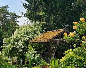 Verblijf 322766 - Vakantiewoning Veluwe - Vakantiehuis in Epe