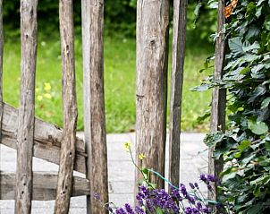 Guest house 322788 - Holiday property Veluwe - Vakantiehuis in Epe