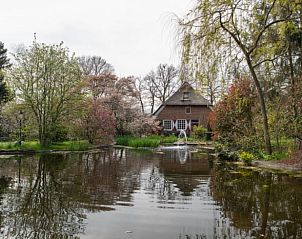 Unterkunft 322791 - Ferienhaus Veluwe - Vakantiehuisje in Epe