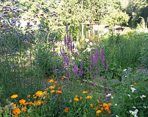 Unterkunft 322791 - Ferienhaus Veluwe - Vakantiehuisje in Epe