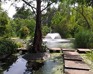 Unterkunft 322791 - Ferienhaus Veluwe - Vakantiehuisje in Epe