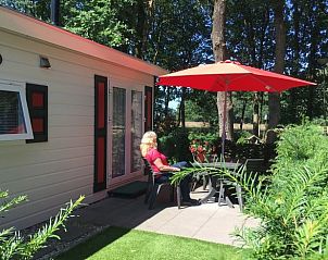 Genieen Sie die Sonne auf der Terrasse des Ferienhauses in Vierhouten, das in den Wldern der Veluwe in Gelderland liegt.