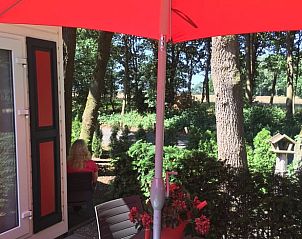 Entspannen Sie sich auf der Terrasse des Ferienhauses in Vierhouten, Veluwe, Gelderland, umgeben von ppiger Natur und einem ruhigen Waldgebiet.