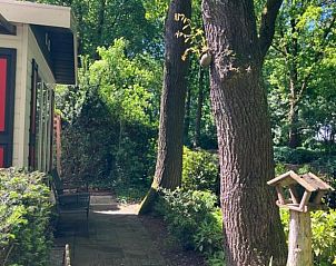 Unterkunft 322905 - Ferienhaus Veluwe - Vakantiehuis in Vierhouten