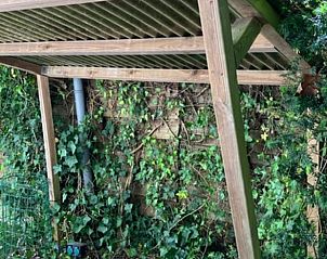 Unterkunft 322905 - Ferienhaus Veluwe - Vakantiehuis in Vierhouten