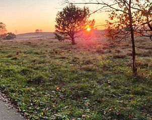 Unterkunft 322905 - Ferienhaus Veluwe - Vakantiehuis in Vierhouten