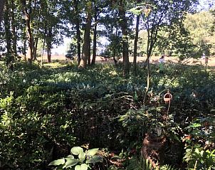 Unterkunft 322905 - Ferienhaus Veluwe - Vakantiehuis in Vierhouten