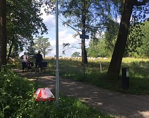 Unterkunft 322905 - Ferienhaus Veluwe - Vakantiehuis in Vierhouten