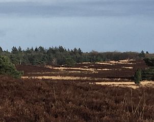 Unterkunft 322905 - Ferienhaus Veluwe - Vakantiehuis in Vierhouten