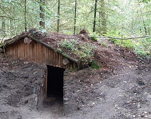 Unterkunft 322905 - Ferienhaus Veluwe - Vakantiehuis in Vierhouten