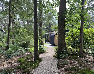 Unterkunft 322906 - Ferienhaus Veluwe - Veluwe Suite met sauna